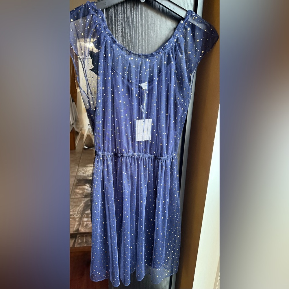 LC Lauren Conrad woman’s Dress in Navy Blue with Gold Dots